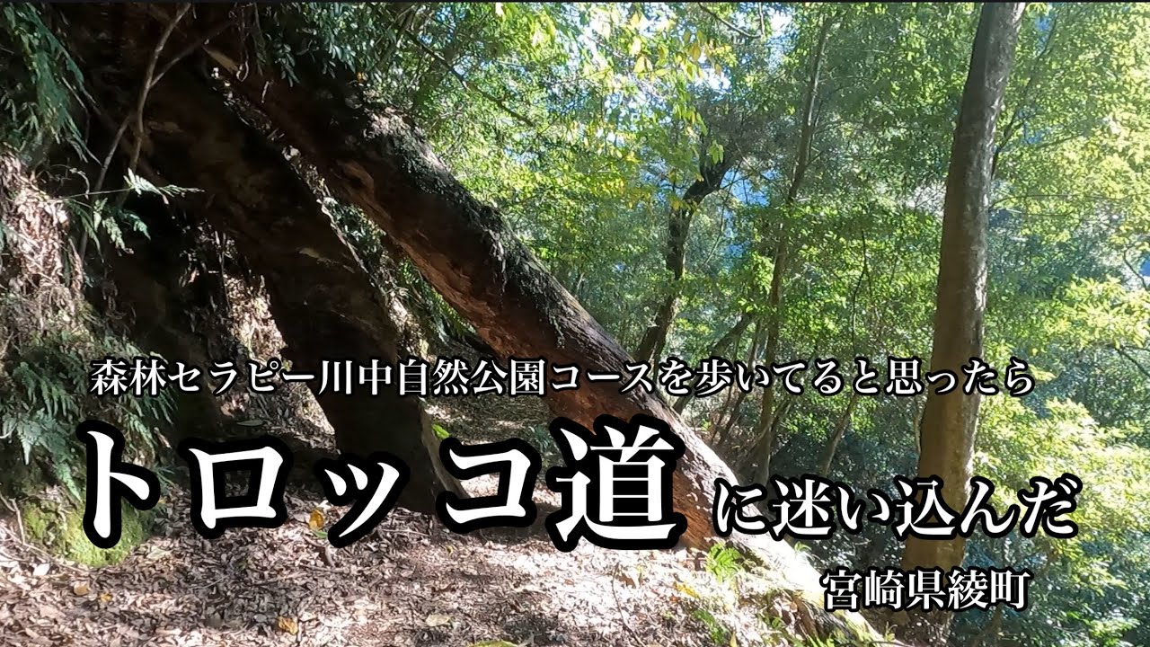 【アウトドア】森林セラピー川中自然公園コースを歩いていると思ったら、トロッコ道に迷い込んでた（笑）