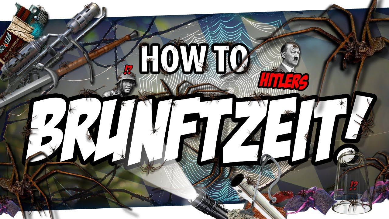 🎓 How to BRUNFTZEIT!