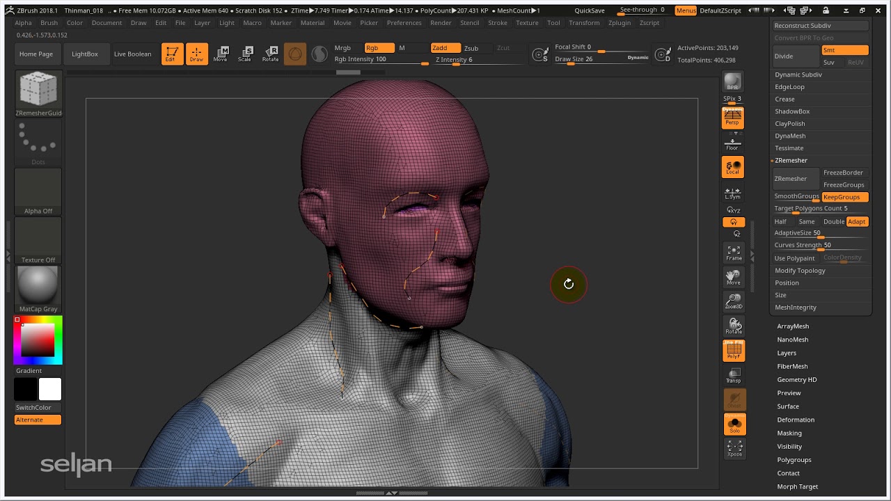 ZBrush | 011 | Dynamesh to ZRemesher