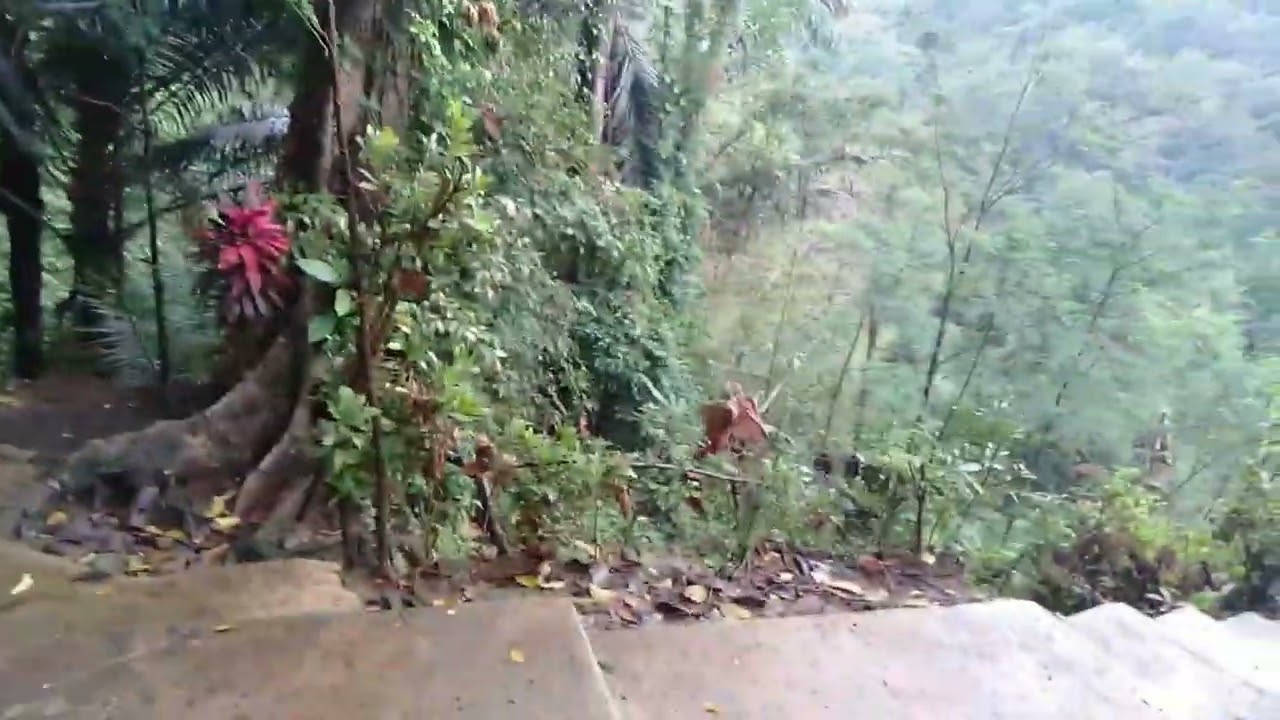 SENDANG SINATAH // Jejak Jaman Kewalian //  Yang Asal Usulnya Masih Dirahasiakan