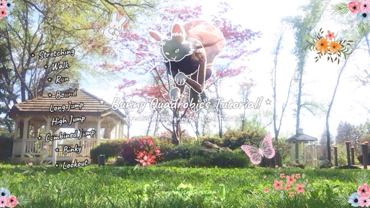 ⋆ Bunny Quadrobics Tutorial! ⋆