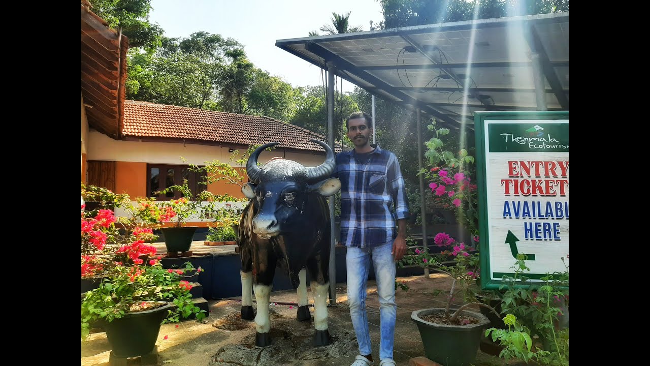 തെൻമലയിലെ കാട്ടുപോത്തിന്റെ കൂടെ | Thenmala Ecotourism