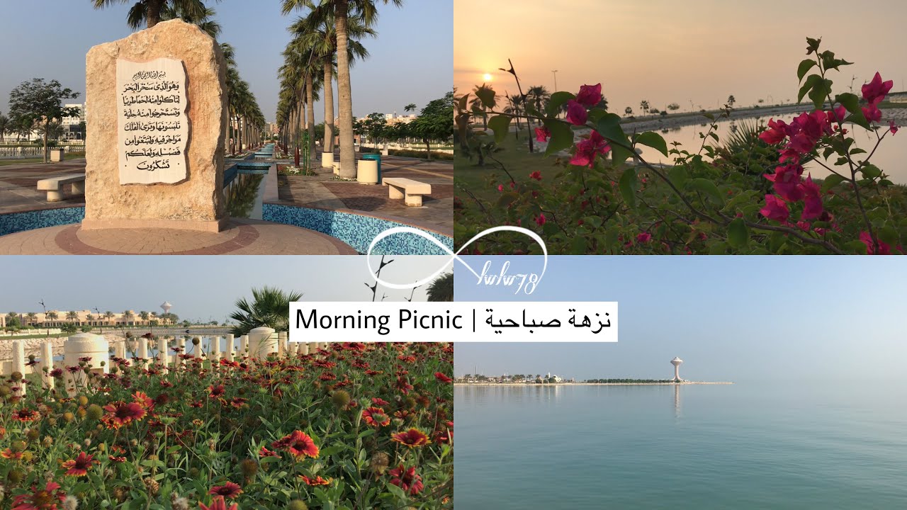 نزهة صباحية 🌅 | Morning Picnic