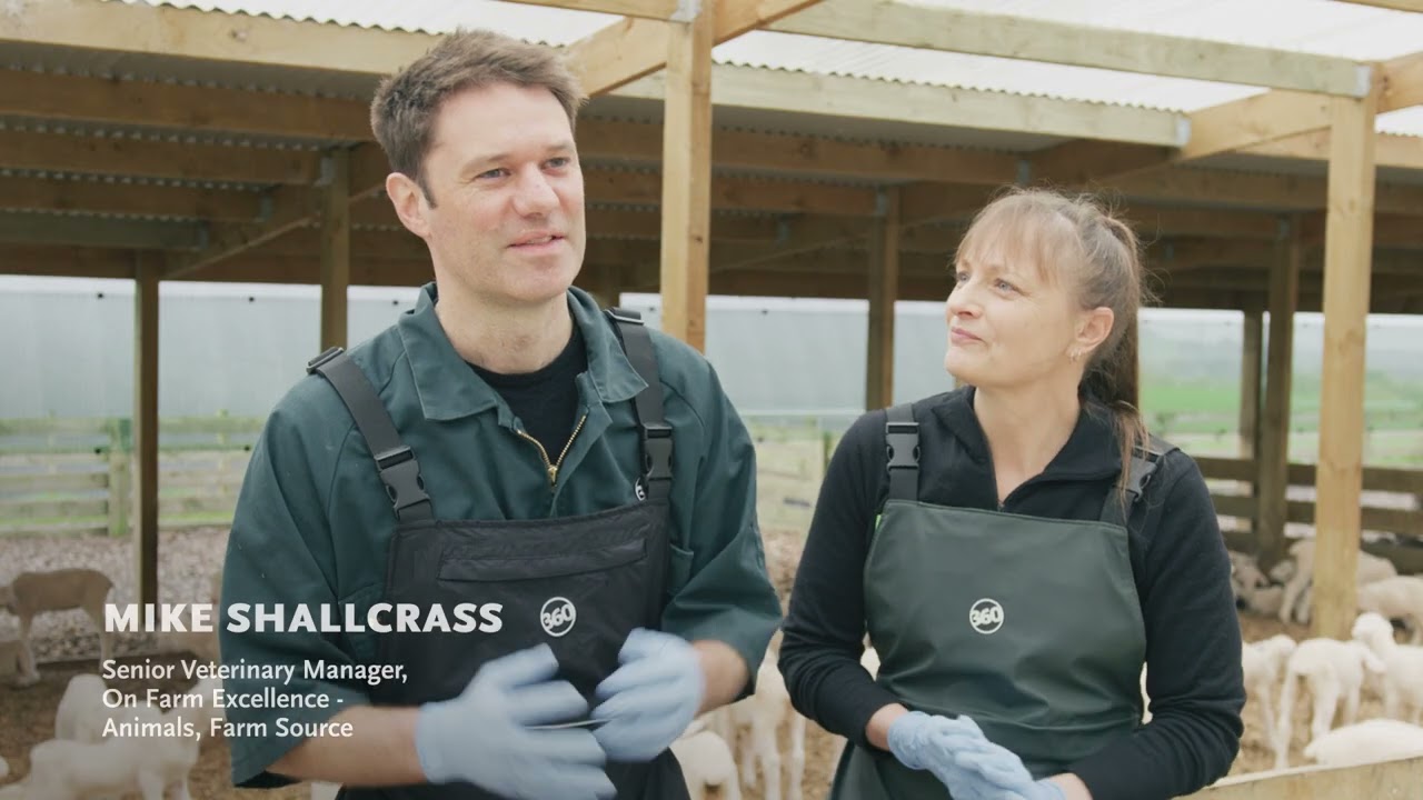 Mixing Lamb Milk Replacer - Tips and Tricks