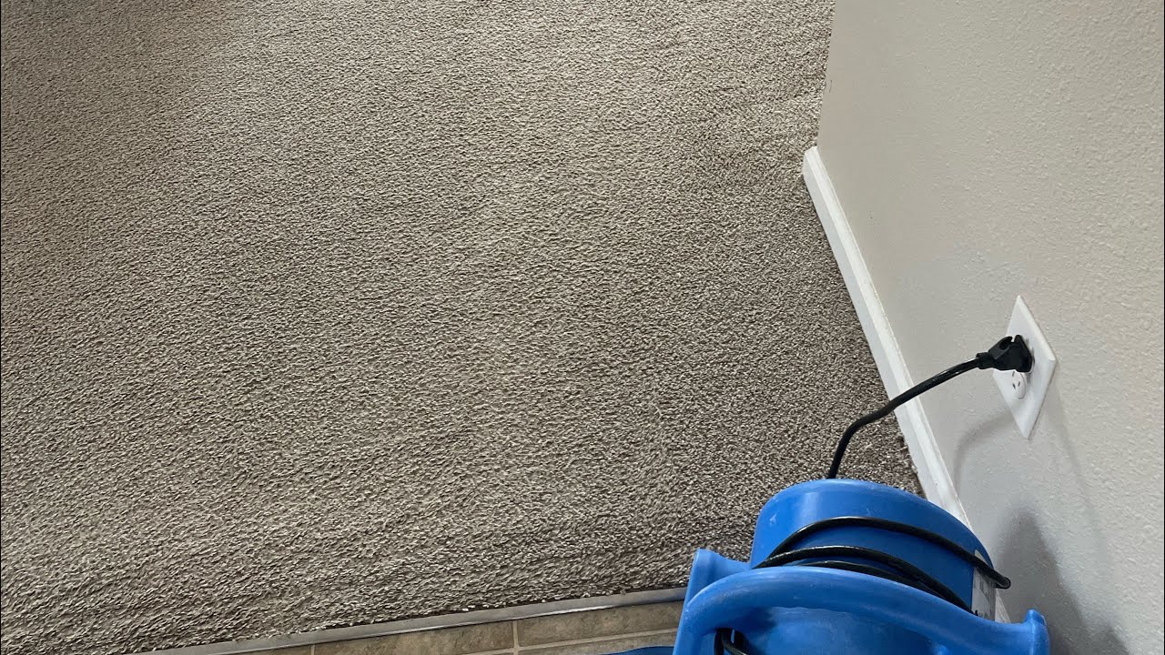 Cleaning after Xmas.