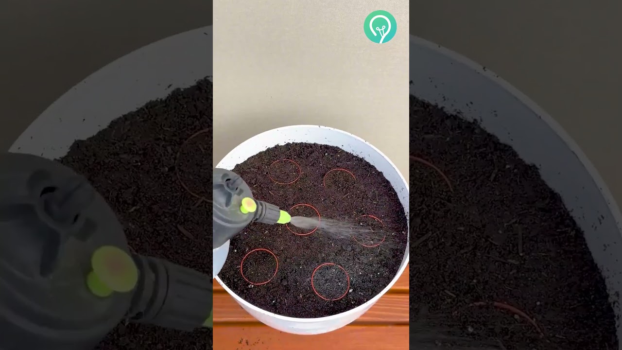Clever way to pot plants using their packaging #smart #potplants #packaging #craft