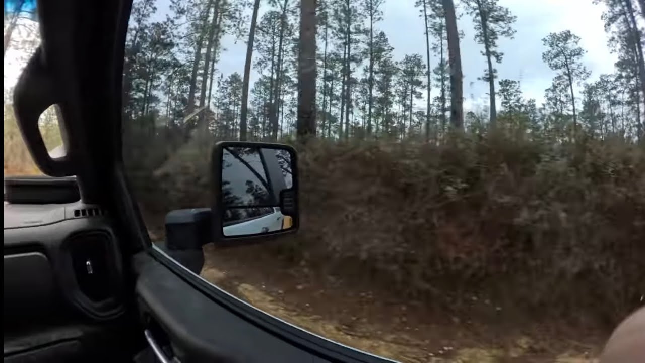 2026 dog hunting for deer