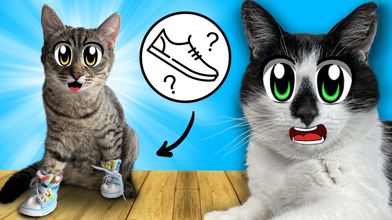 10 СПОСОБОВ ПРАНКАНУТЬ КОТИКОВ! СМЕШНЫЕ РОЗЫГРЫШИ АНУКА ДАВАЙКА! ПРИКОЛЫ с КОТАМИ! КОТЁНОК ЮГИ и ЯНИ