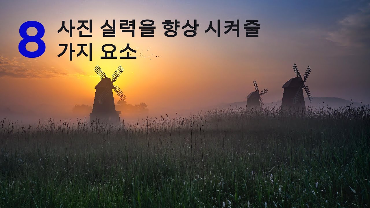 사진 실력을 향상 시켜줄 8가지 요소