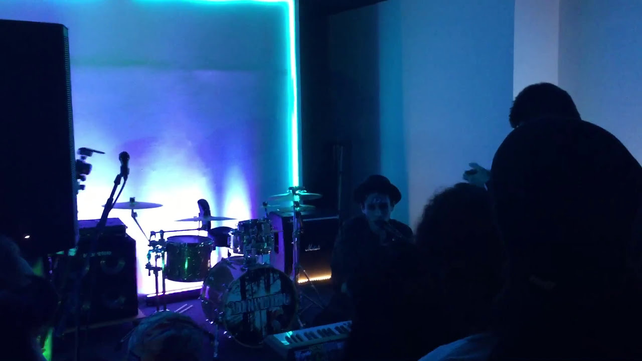 Will Wood and The Tapeworms Live @ BoonTunes in Boonton, NJ 6/25/16