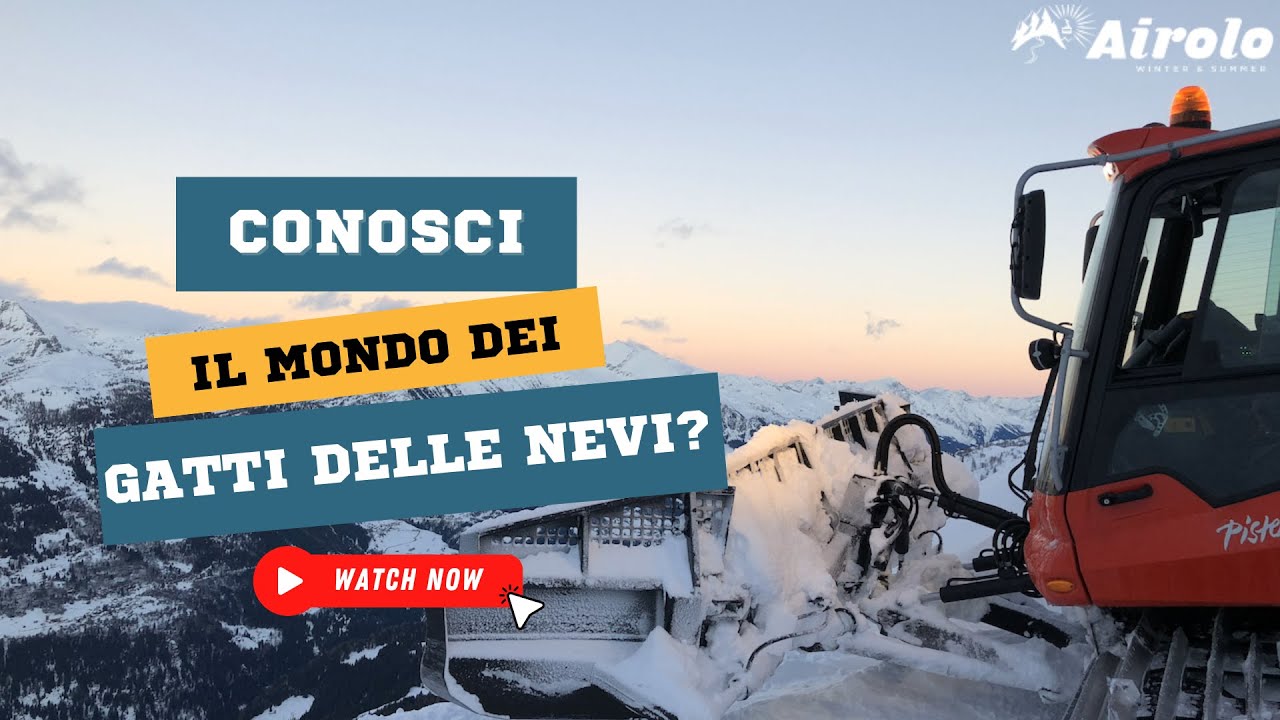 Conosci il mondo dei gatti delle nevi?