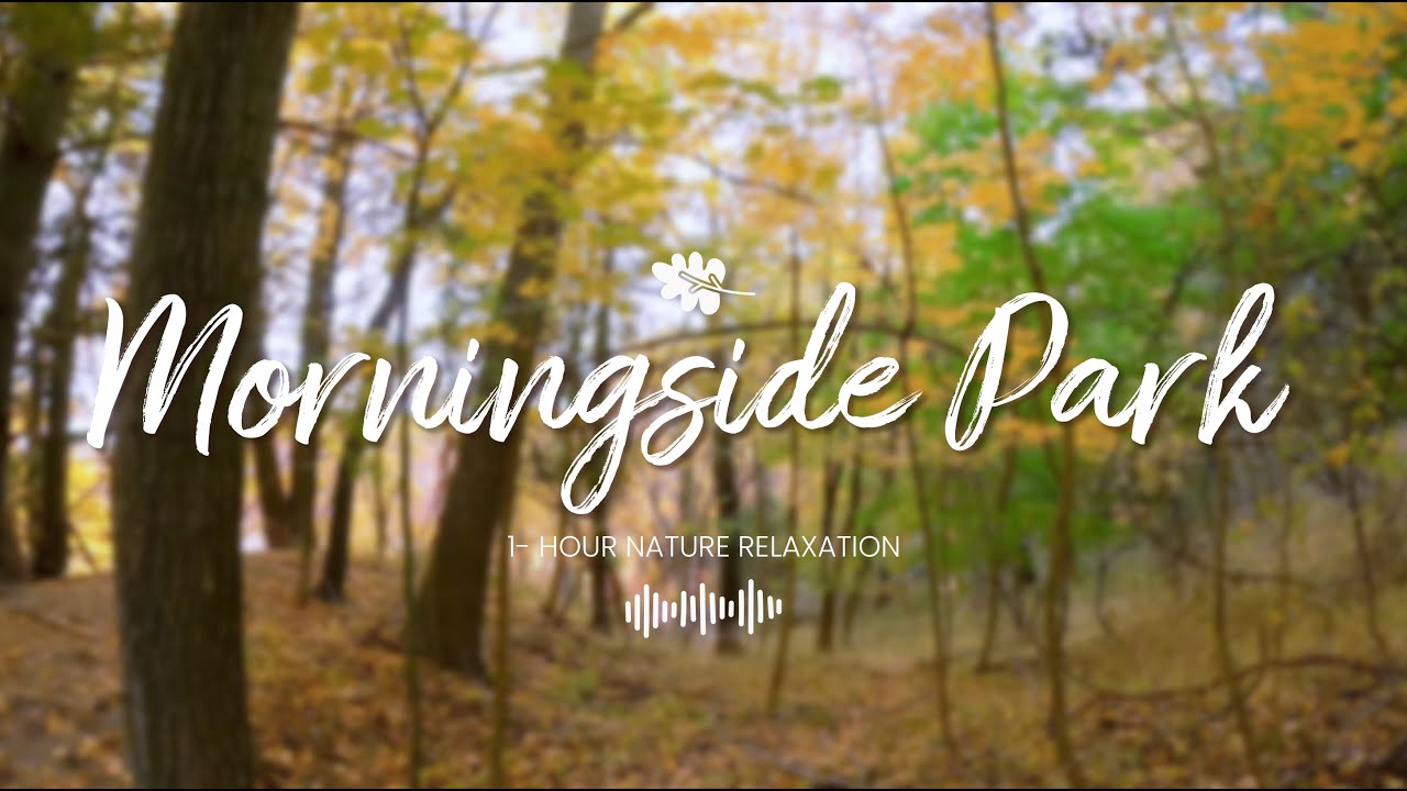 1 Hour Relaxation Scarborough Morningside Park Nature 4K 2022