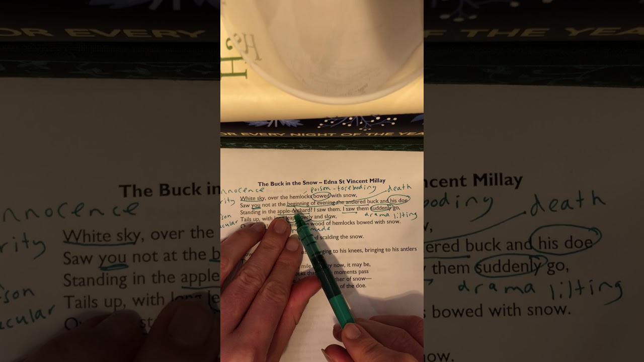 The Buck in the Snow