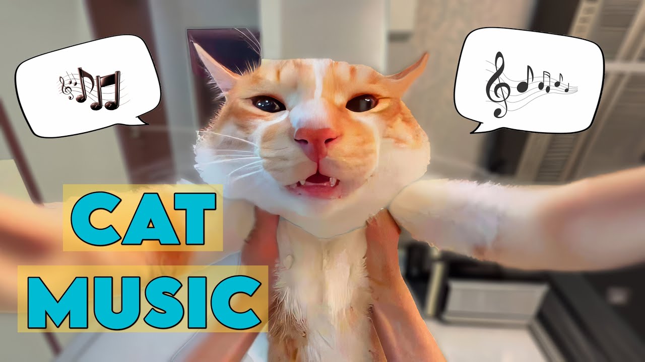 GATO CANTOR - MÚSICA FELINA - REMIX