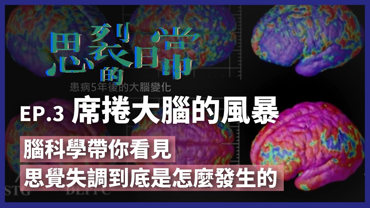 思裂的日常》大腦生病了！腦科學解密 思覺失調怎麼發生的？（公共電視 - 有話好說）