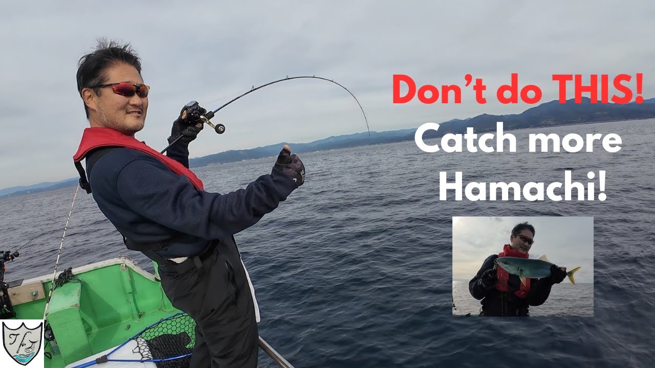 Don't do THIS if You Want to Catch more Yellowtail Hamachi! ハマチ釣りにはコレはダメ！
