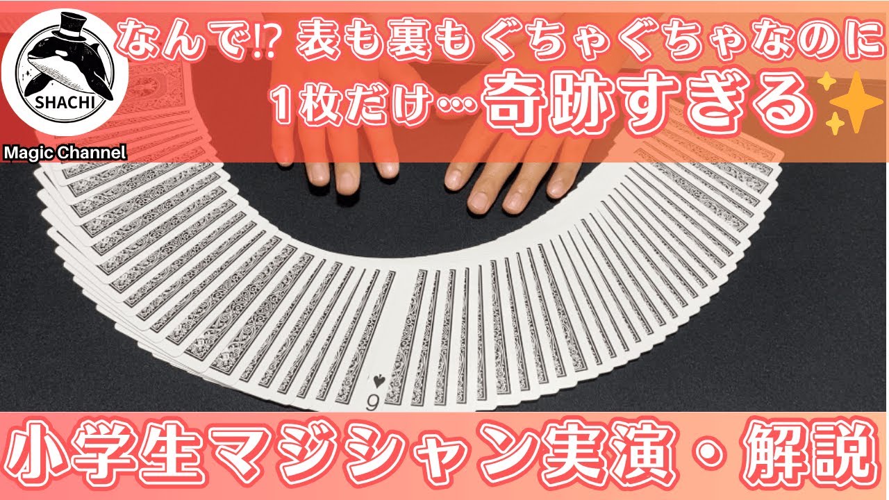 なんで⁉ 表も裏もグチャグチャなのに1枚だけ…奇跡すぎる!!小学生マジシャンSHACHIの超ビジュアルマジック！#18