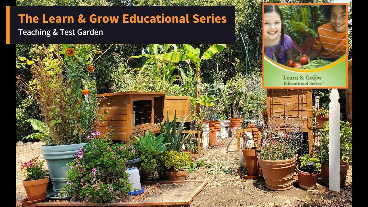 Grow Your Own Food Anywhere