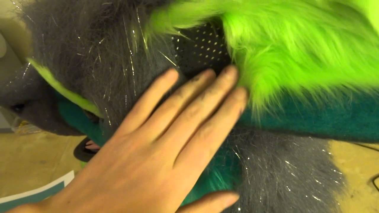 Axyz Sergal Completed Head