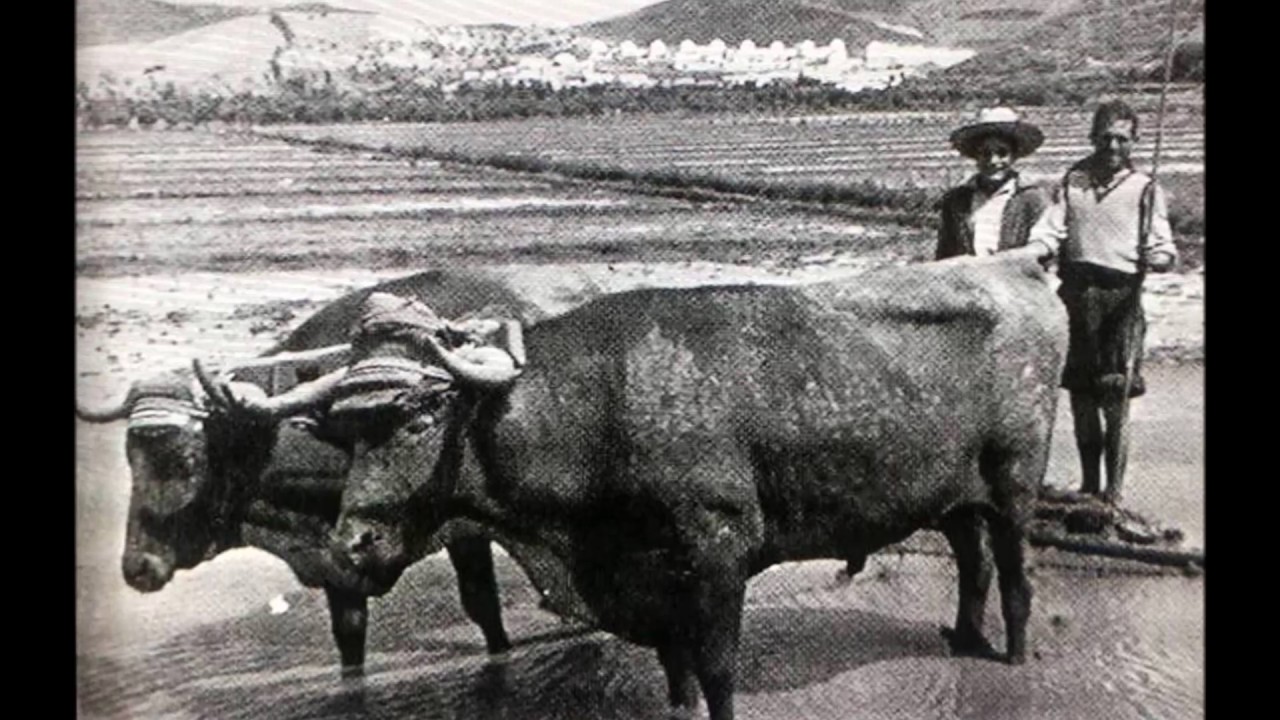 Tesorillo en el Pasado