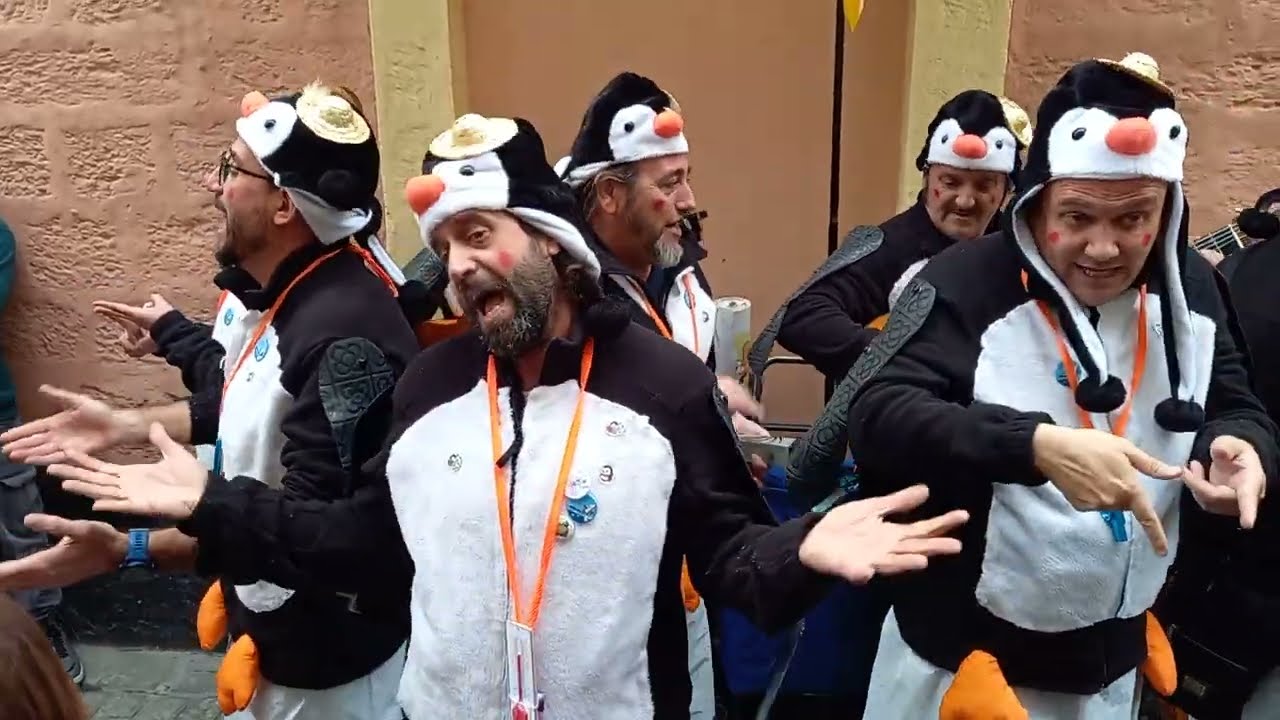 Chirigota: Muero por un casquete (Pingüinos). ilegal de Rota. Carnaval de Cádiz 2025.