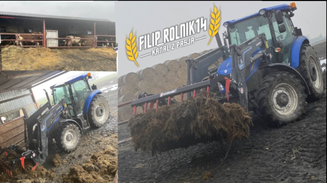 wywalanie obornika od byków ☆new holland☆ w akcji