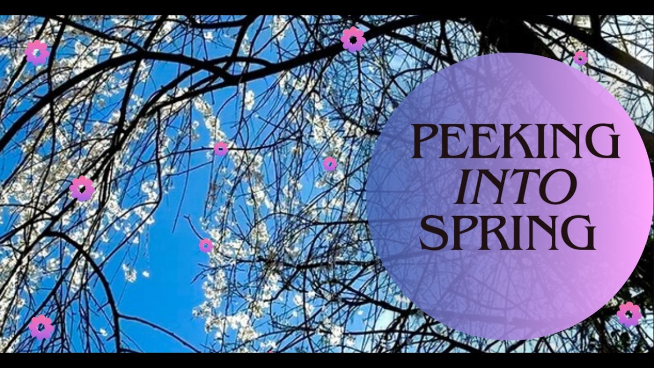 Peeking into Spring