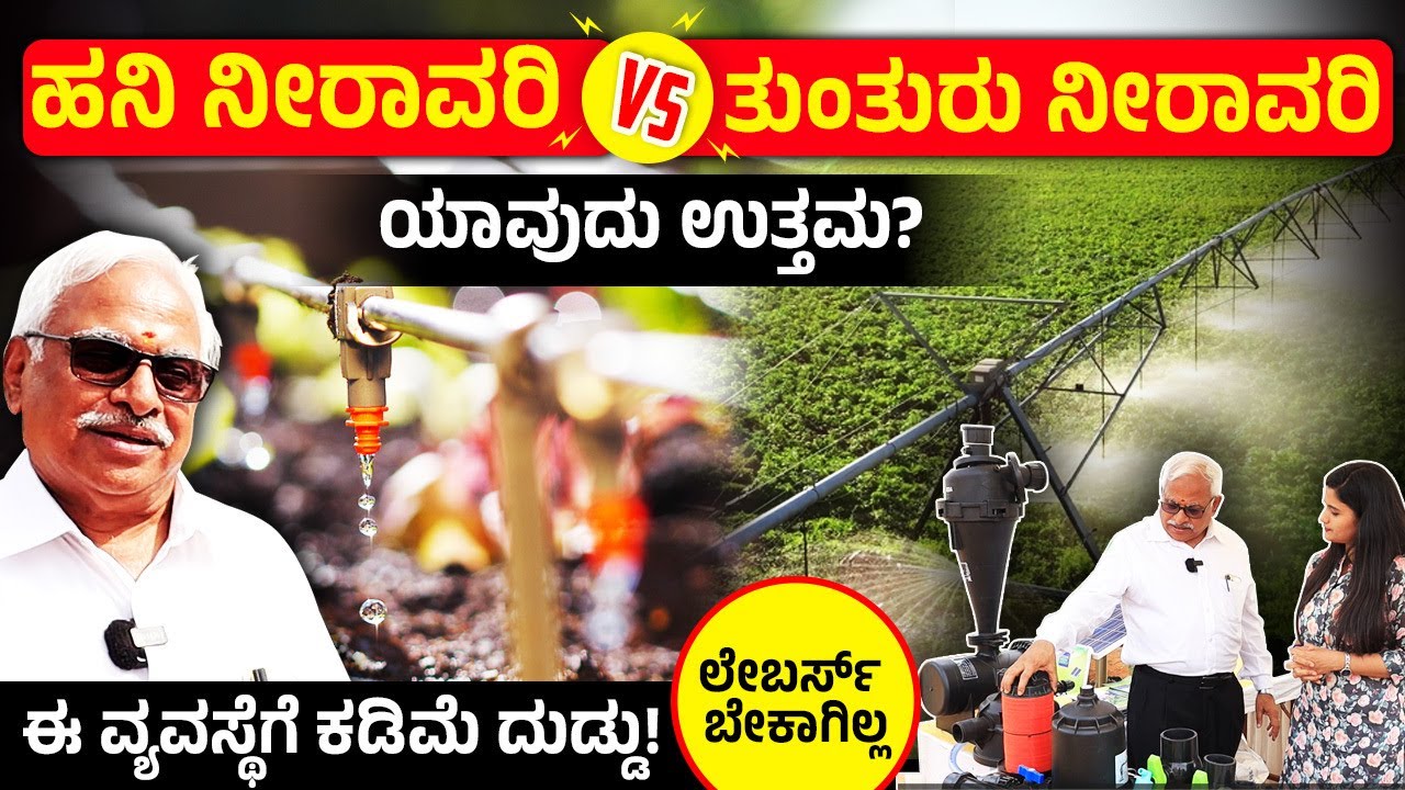 Drip and Sprinkler Irrigation System | ಕಡಿಮೆ ಖರ್ಚಿನಲ್ಲಿ ಹನಿ ನೀರಾವರಿ & ತುಂತುರು ನೀರಾವರಿ ಪದ್ಧತಿ