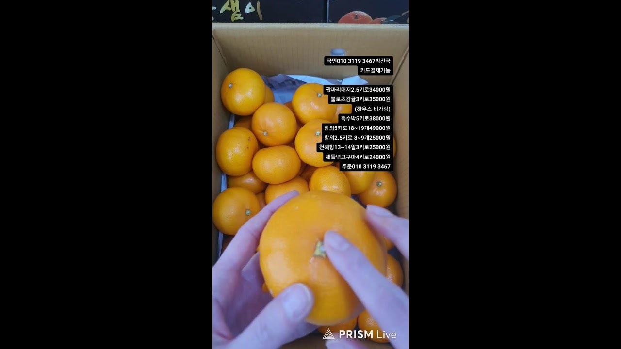 짭짜리 토마토. 흑수박 비가림불로초 참외. 천혜향 해들녁고구마