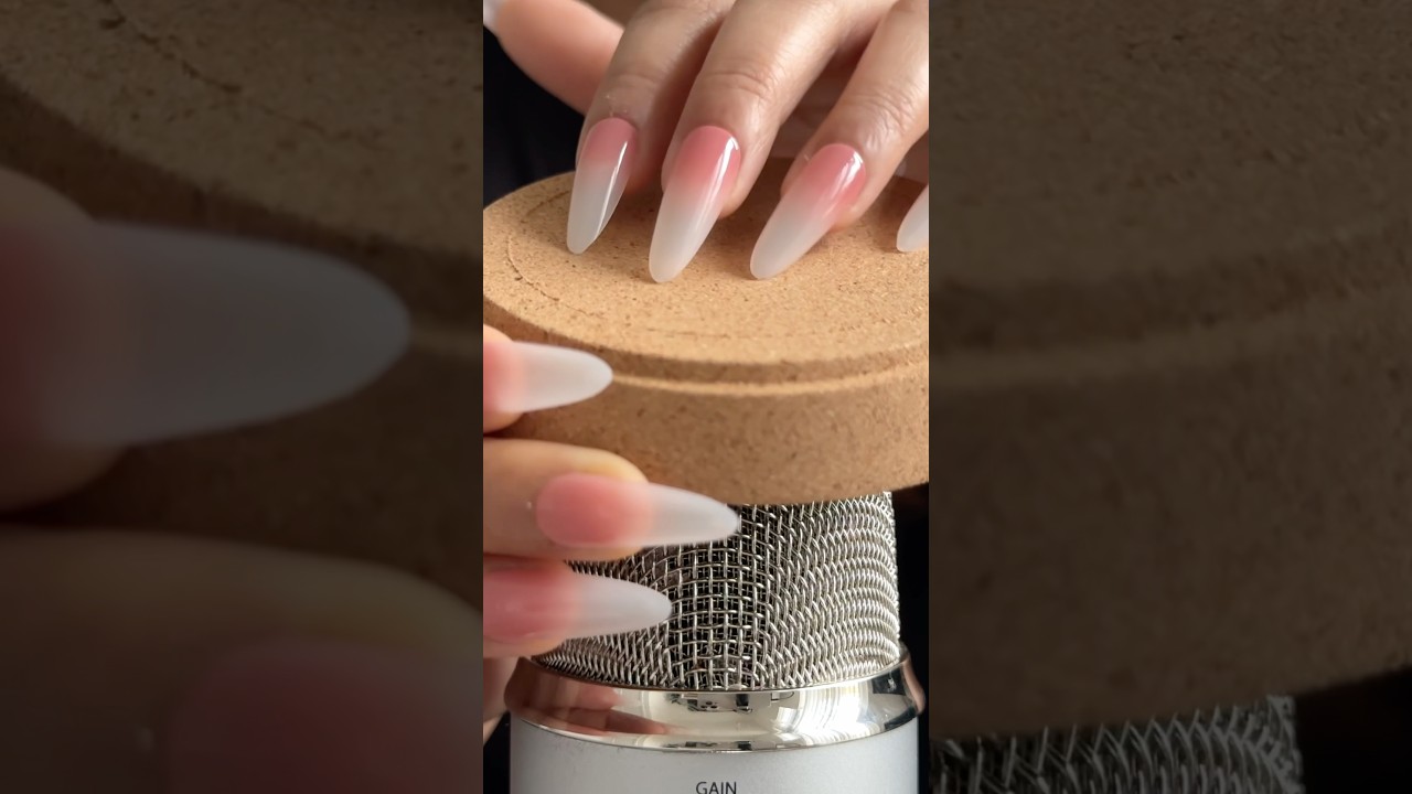 ASMR Tapping & Scratching On Random Things 🌙
