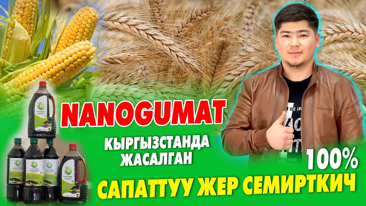 ЖЕР СЕМИРТКИЧ эми КЫРГЫЗСТАНДАН чыга БАШТАДЫ ~ NanoGumat ӨСҮМДҮККӨ, МАЛ-ЖАНДЫККА да КОЛДОНСО болот