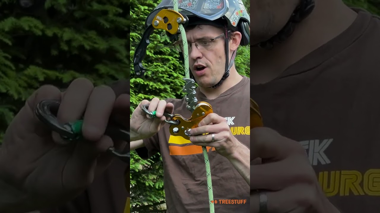 Petzl Zigzag for SRT/SRS Climbing? - TreeStuff #shorts