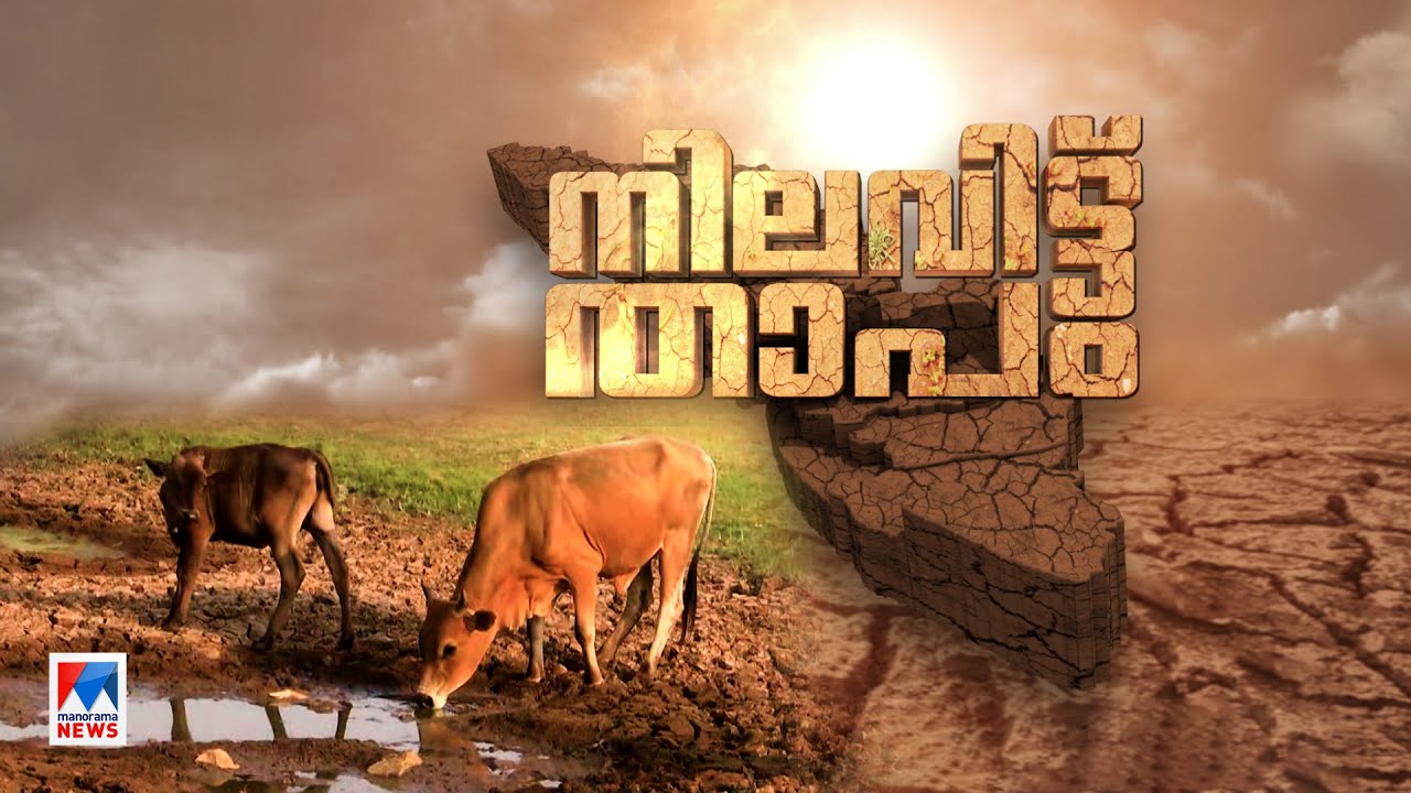 കത്തിജ്വലിച്ച് വേനല്&zwj;ത്തീ; വെന്തുരുകുന്ന കേരളം; വലഞ്ഞ് ജീവജാലങ്ങൾ| Summer | Heat