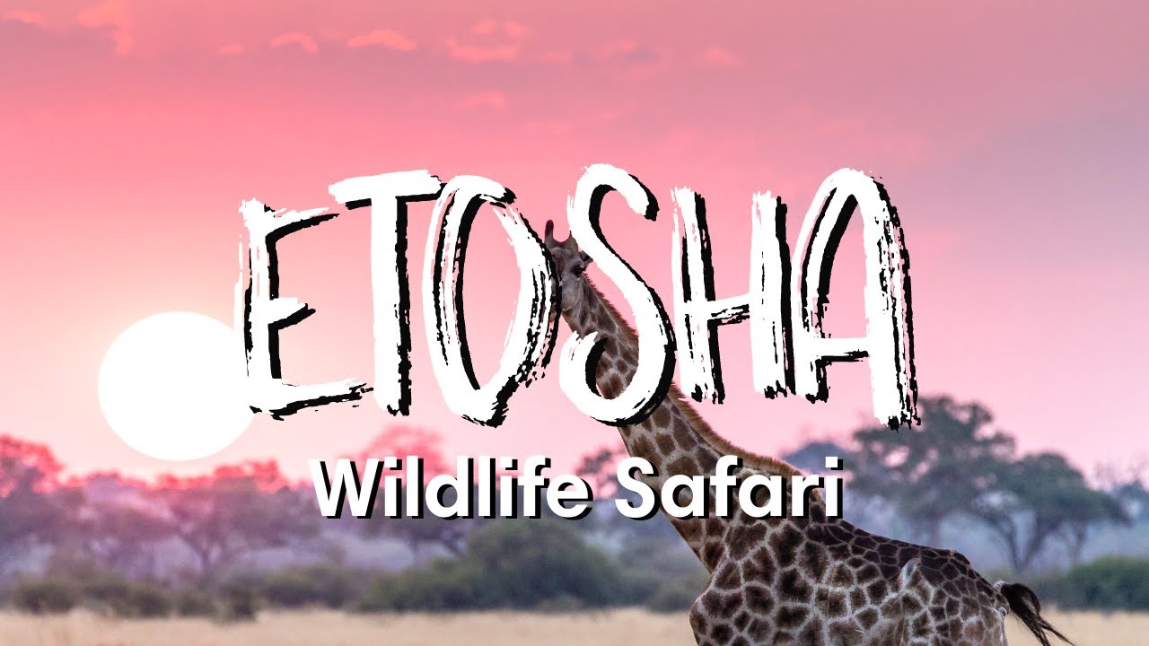 ETOSHA NATIONAL PARK NAMIBIA | what animals did we spot?!