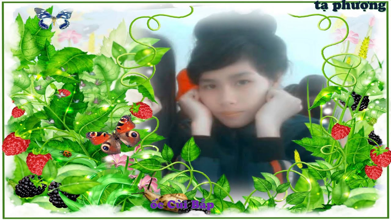 Nắng s&acirc;n trường - Tạ phượng