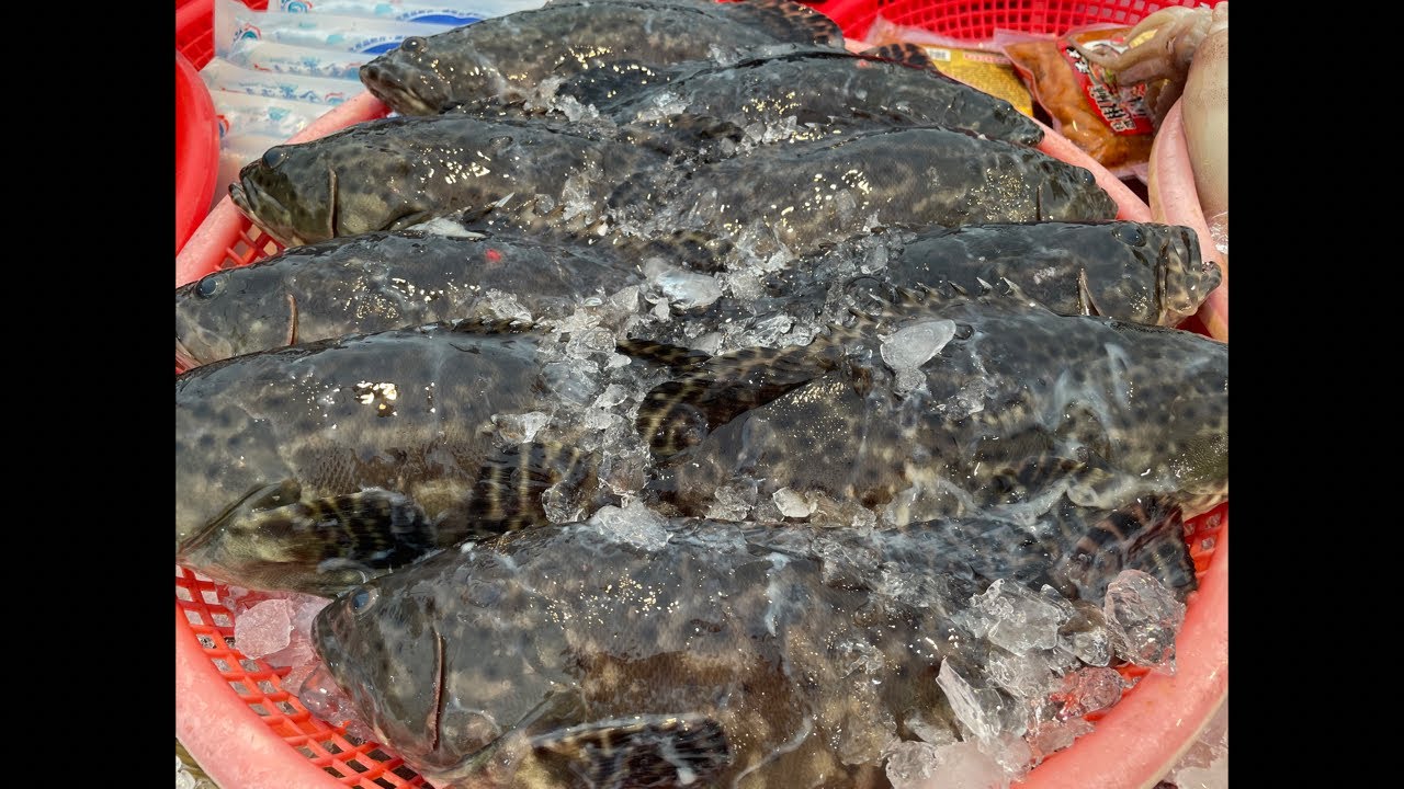 1108 直播 雲林斗南夜市開播囉！#嘉義趙又廷 #全晟海產 #週六雲林斗南夜市 #海鮮拍賣 #海鮮叫賣