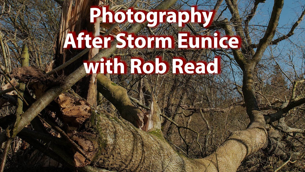 Photography Opportunities after Storm Eunice