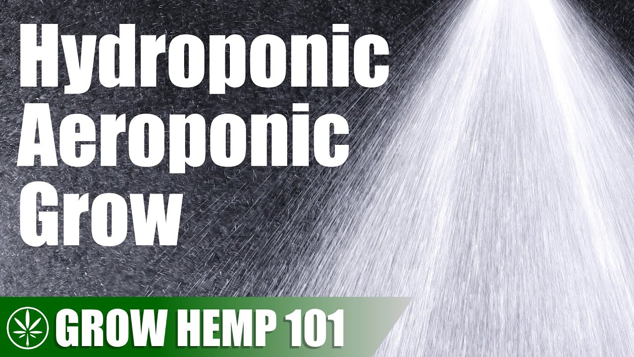 Aeroponic Timelapse Grow Log from Clone to Harvest