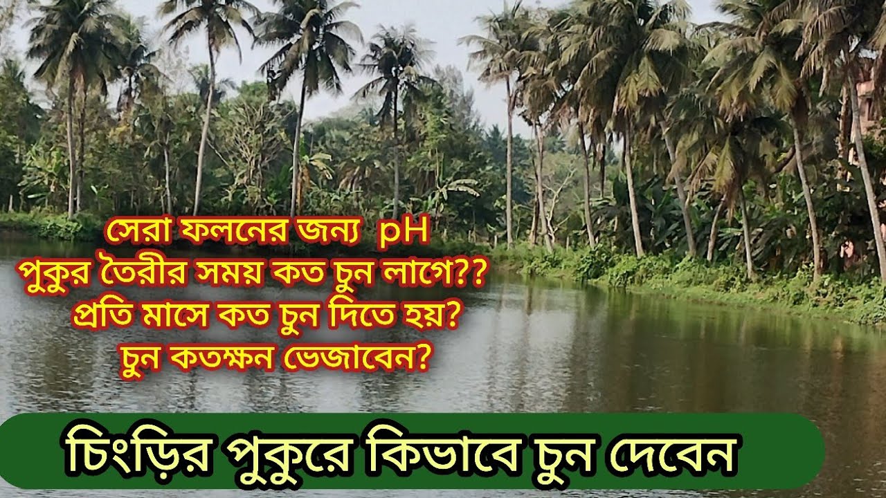 ভালো মাছ চাষে pH এর গুরুত্ব ও চুন প্রয়োগ পদ্ধতি।। pH in fish farming ।। Use of Lime in Ponds ।।