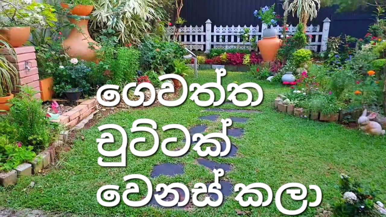 ගෙවත්ත ටිකක් වෙනස් කලා /අලුත් මල් පැල ගොඩක් / Update My Garden / ❤🧡  #shortvideo