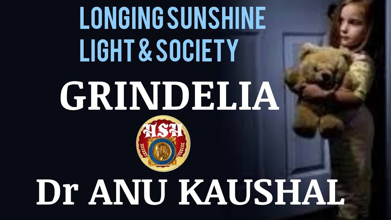 GRINDELIA  - DR ANU KAUSHAL @hsh_homeopathy