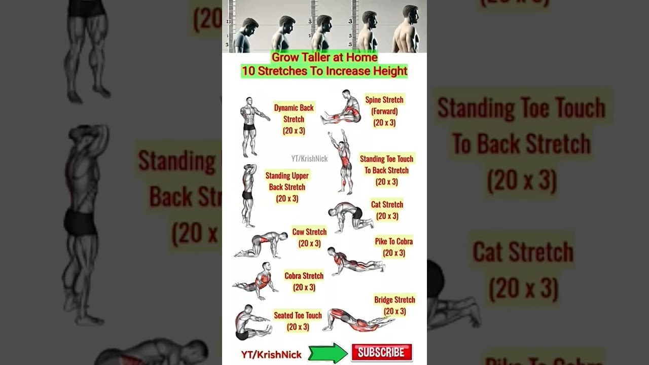 how to grow taller your height at home #sports #tallman #explore #at home