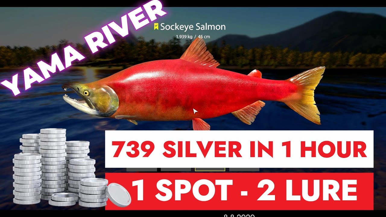 RUSSIAN FISHING 4 - YAMA RIVER - 739 SILVER IN 1 HOUR
