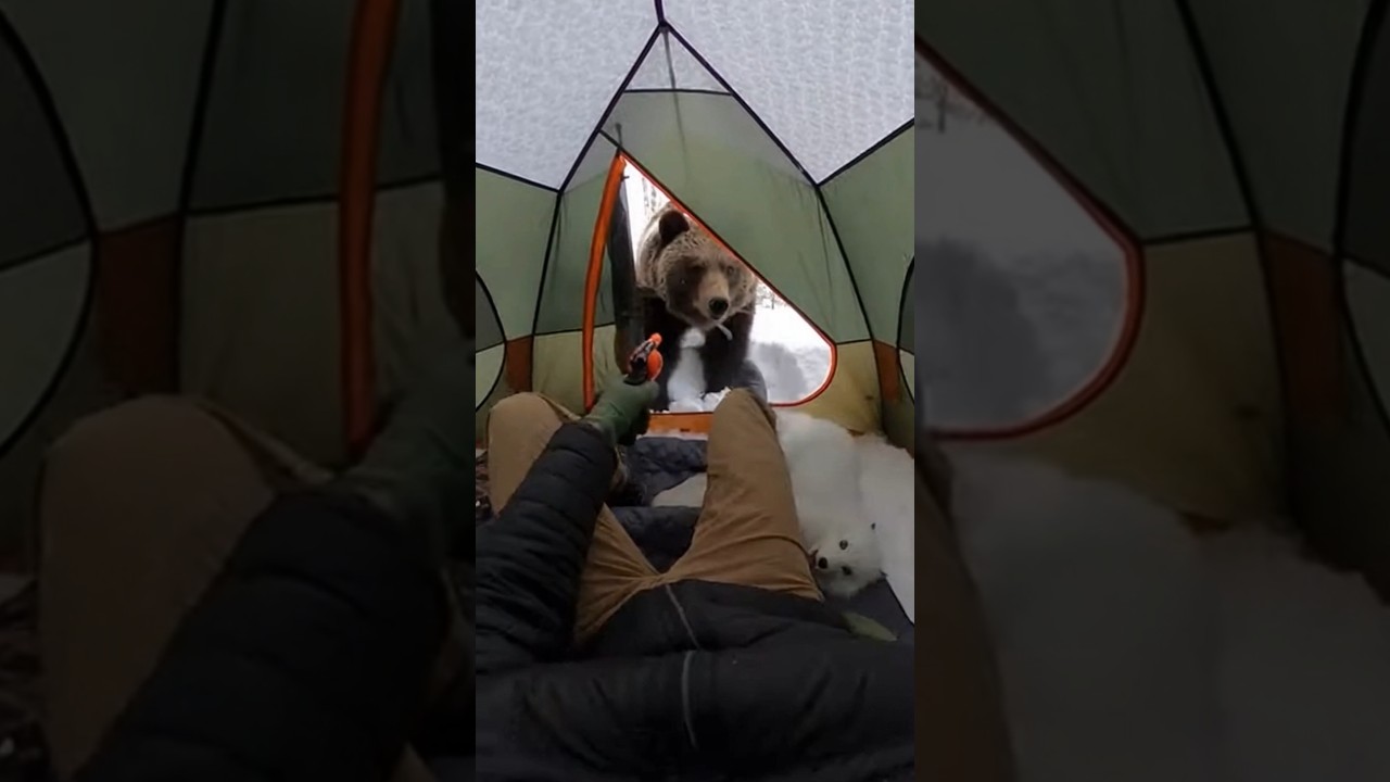 A Fox Ran Into My Tent&hellip; What Happened Next Changed Everything 🦊
