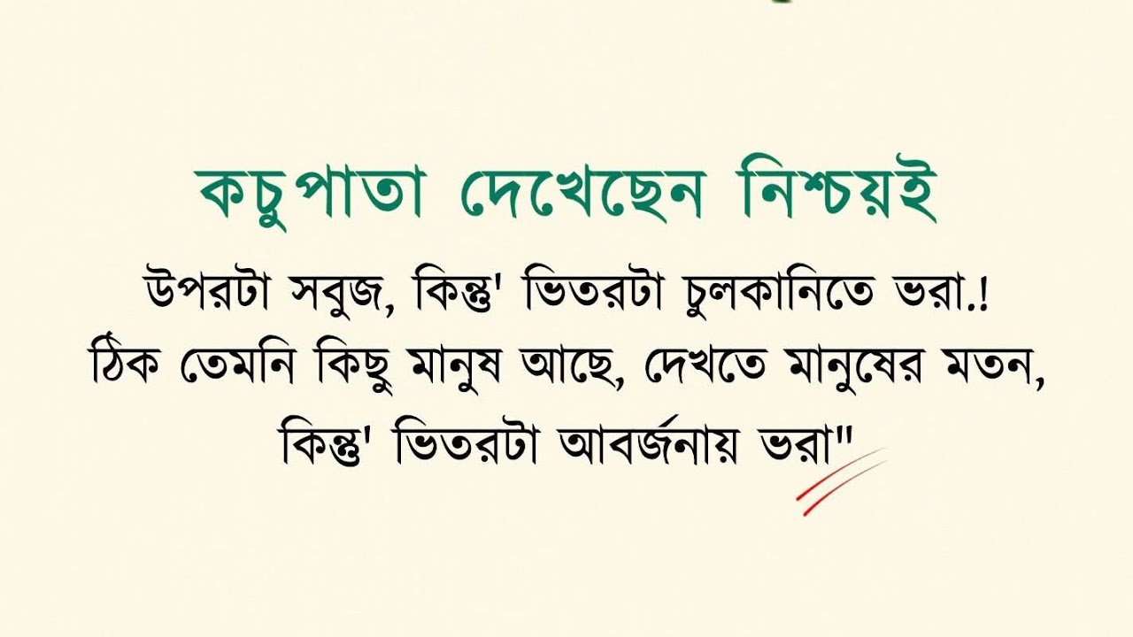 আসসালামু আলাইকুম। রাতের লাইভে স্বাগতম জানাই আমি ফারজানা।চাটগাঁইয়া ব্লগার🫡
