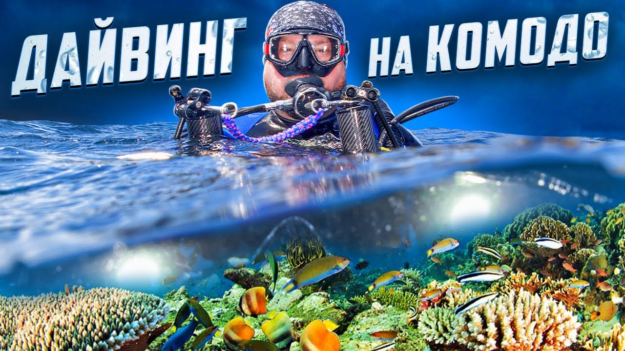 Дайвинг на Комодо!  Какие условия для дайверов, что ждет под водой? Полный гайд для дайверов.
