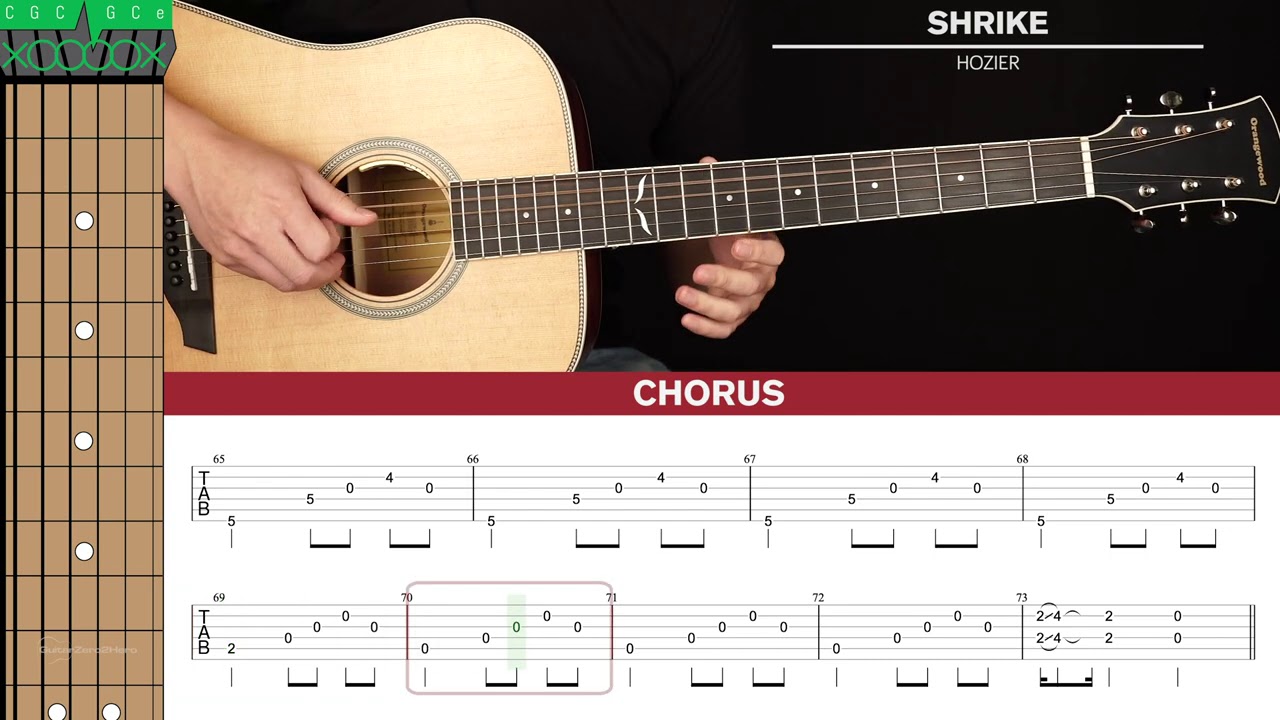 Shrike Guitar Cover Hozier 🎸|Tabs + Chords|
