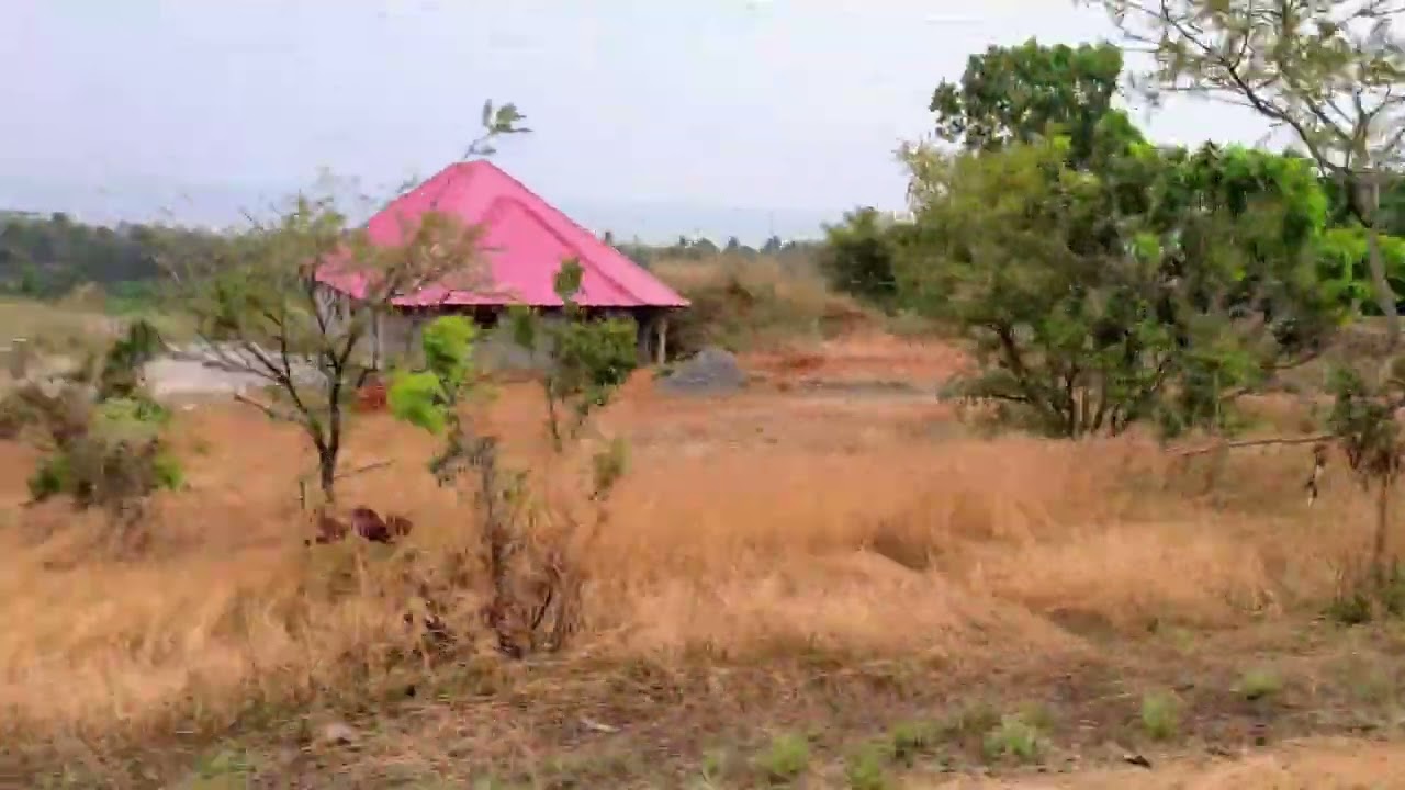 Waterloo to Tombo Road Trip 1