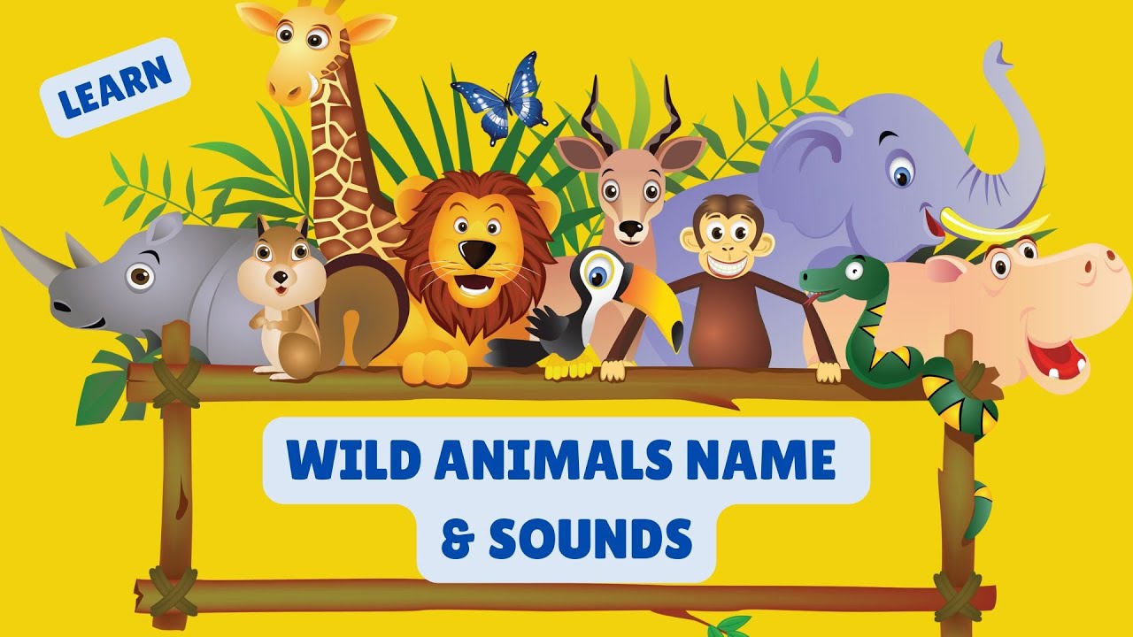 “Can You Guess These Wild Animals by Their Sounds?”