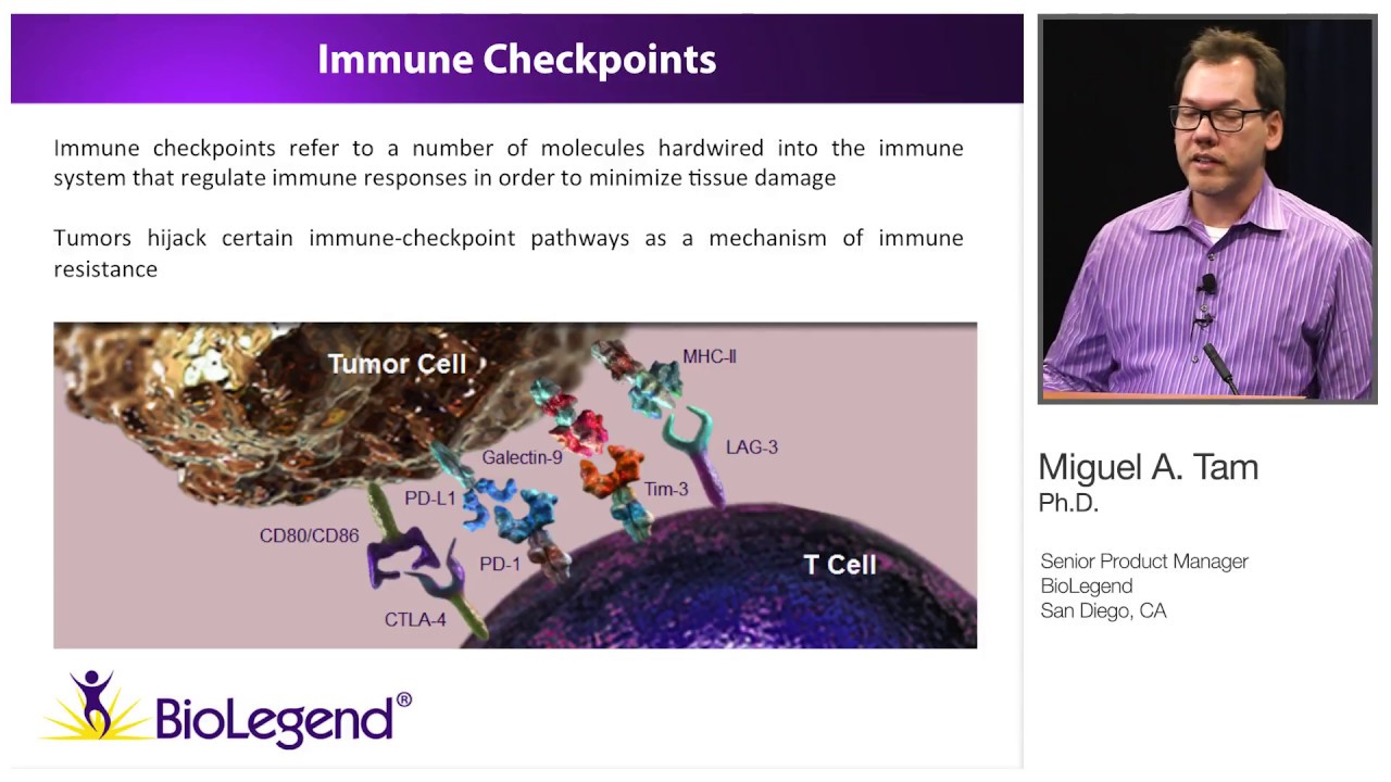 Fighting Cancer from Multiple Angles: Exploring RANK-RANKL, and PD-L1 in mouse melanoma models.